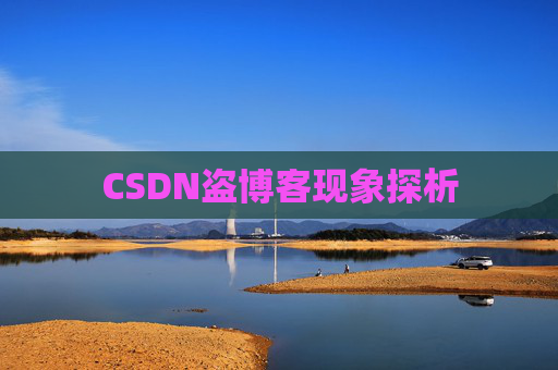 CSDN盗博客现象探析